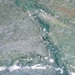 Stillleben in Grün